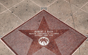 HM3 Robert E. Bush "Golden Palm" Star