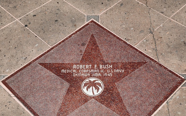 HM3 Robert E. Bush "Golden Palm" Star
