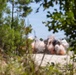 FLEETEX 250 | Multinational assault breach training