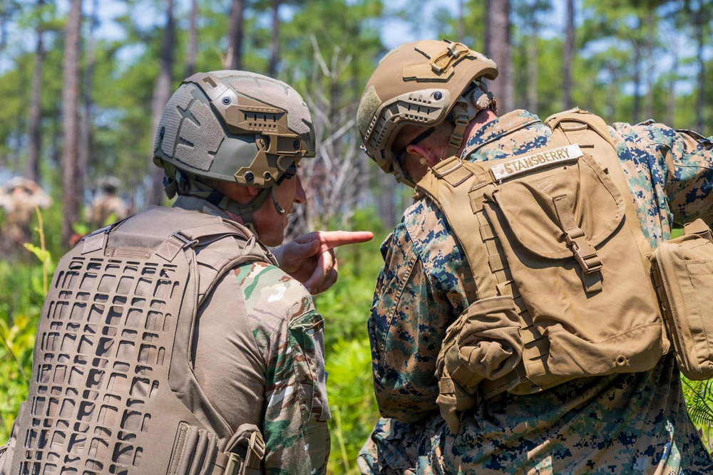 FLEETEX 250 | U.S. and French Marines Participate in a Bilateral Company Live-Fire Range