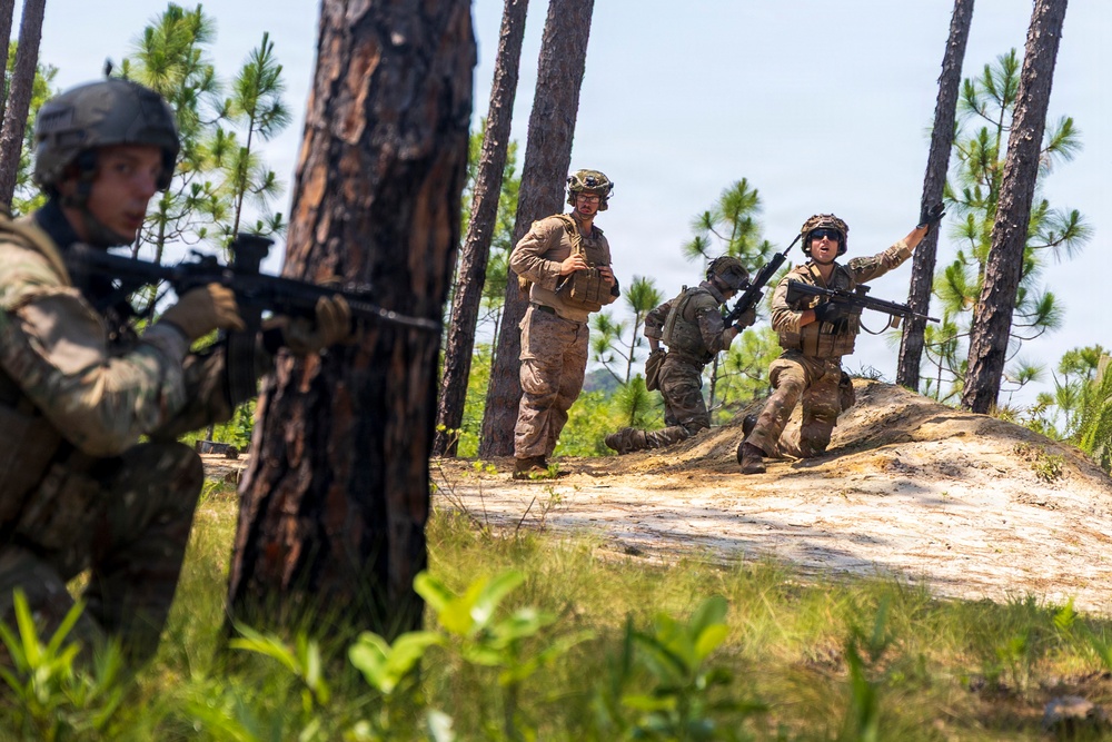 FLEETEX 250 | U.S. and French Marines Participate in a Bilateral Company Live-Fire Range