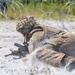 FLEETEX 250 | U.S. and French Marines Participate in a Bilateral Company Live-Fire Range