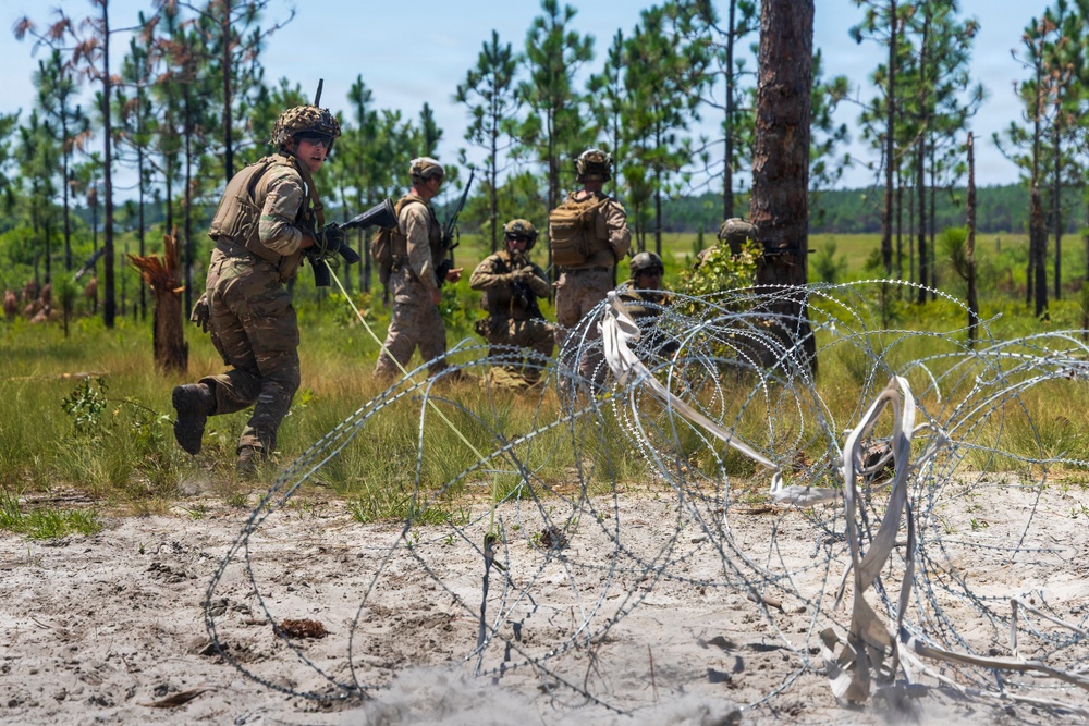 FLEETEX 250 | U.S. and French Marines Participate in a Bilateral Company Live-Fire Range