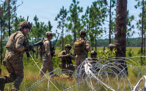 FLEETEX 250 | U.S. and French Marines Participate in a Bilateral Company Live-Fire Range