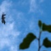 F-15 fly by