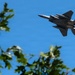 F-15 fly by