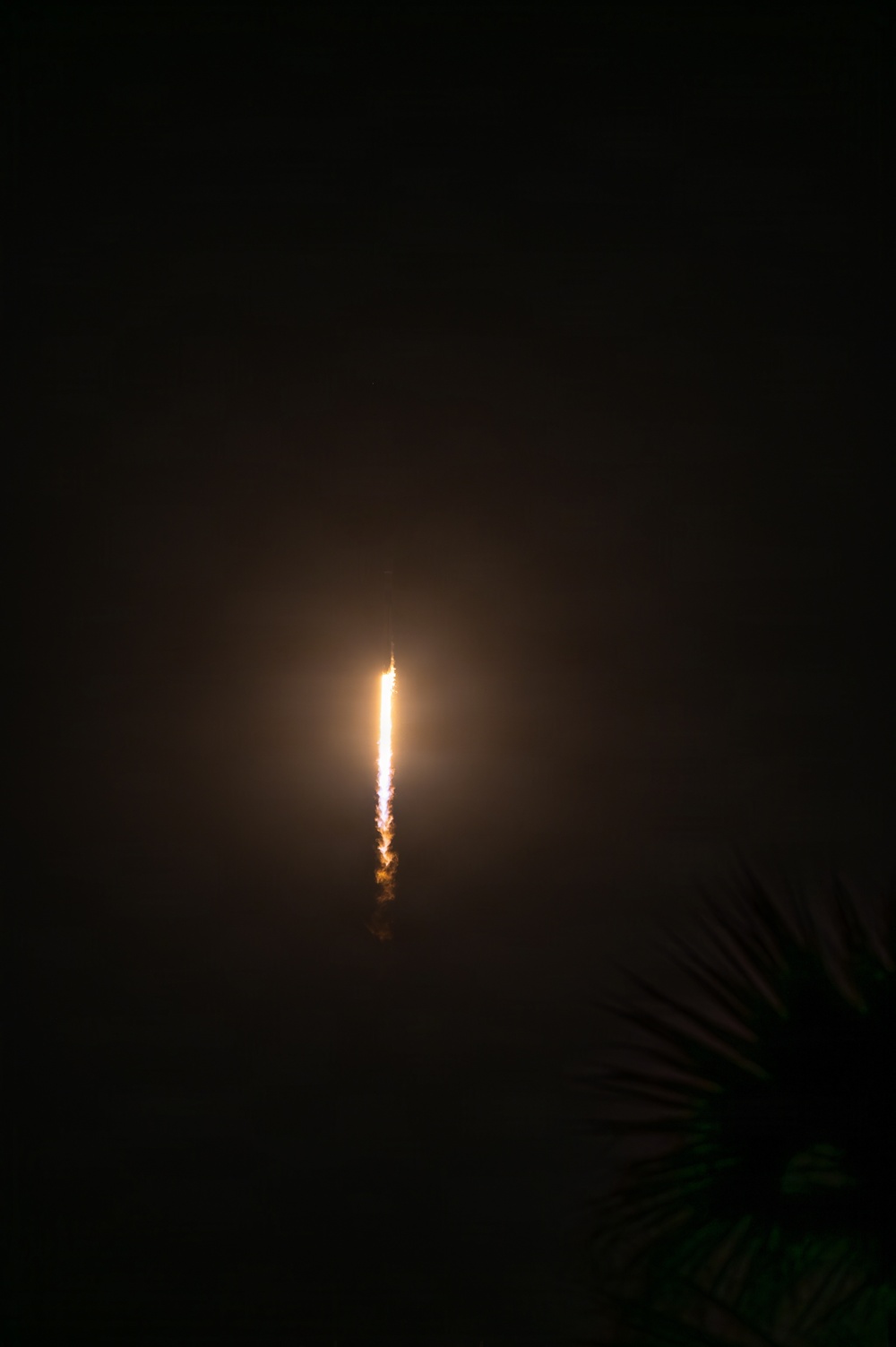 Falcon 9 | BlueBird 8-10 Launch