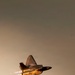 F-22 Aerial Demonstration Team brings the fun to SUN 'n FUN Aerospace Expo