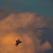 F-22 Aerial Demonstration Team brings the fun to SUN 'n FUN Aerospace Expo