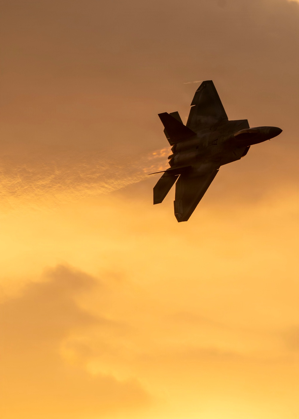 F-22 Aerial Demonstration Team brings the fun to SUN 'n FUN Aerospace Expo