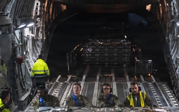 Day or Night – Dawgs on-site