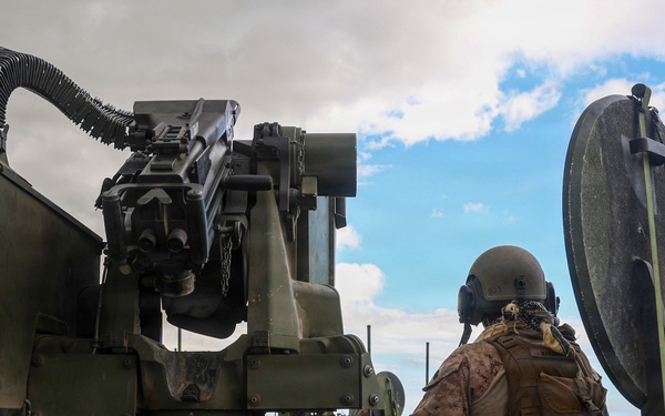 U.S. Marines and allied forces conduct combined arms live fire exercise during Sea Breeze 26 in Romania