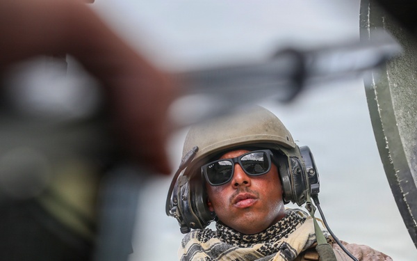 U.S. Marines and allied forces conduct combined arms live fire exercise during Sea Breeze 26 in Romania