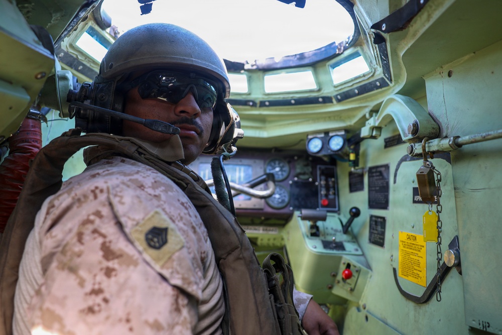 U.S. Marines and allied forces conduct combined arms live fire exercise during Sea Breeze 26 in Romania