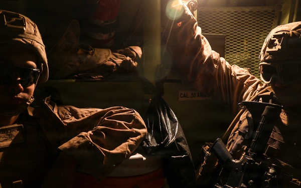 U.S. Marines and allied forces conduct combined arms live fire exercise during Sea Breeze 26 in Romania
