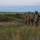 U.S. Marines and allied forces confuct combined arms live fire exercise during Sea Breeze 26 in Romania