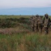 U.S. Marines and allied forces confuct combined arms live fire exercise during Sea Breeze 26 in Romania