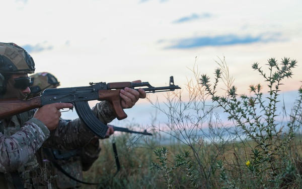 U.S. Marines and allied forces confuct combined arms live fire exercise during Sea Breeze 26 in Romania