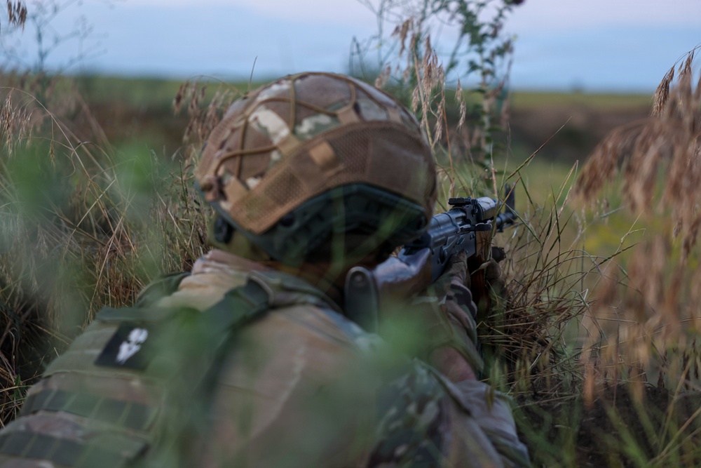 U.S. Marines and allied forces confuct combined arms live fire exercise during Sea Breeze 26 in Romania