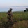 U.S. Marines and allied forces confuct combined arms live fire exercise during Sea Breeze 26 in Romania