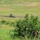 U.S. Marines and allied forces confuct live fire exercise during Sea Breeze 26 in Romania