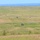 U.S. Marines and allied forces confuct live fire exercise during Sea Breeze 26 in Romania