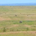 U.S. Marines and allied forces confuct live fire exercise during Sea Breeze 26 in Romania