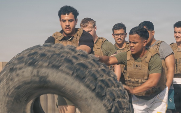 Platoon PT Competition