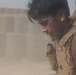 Platoon PT Competition