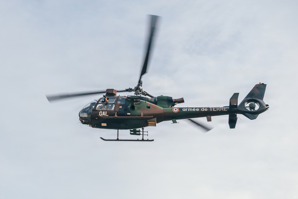 Fleet Exercise 250 | Joint SEAD Training on MCB Camp Lejeune