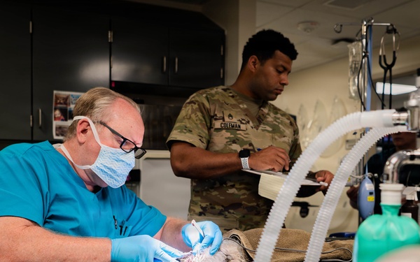 Base veterinarians care for Offutt's furry friends