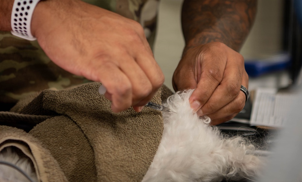 Base veterinarians care for Offutt's furry friends