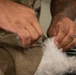 Base veterinarians care for Offutt's furry friends