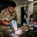 Base veterinarians care for Offutt's furry friends