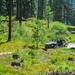 Infantry Squad Vehicle Familiarization Training