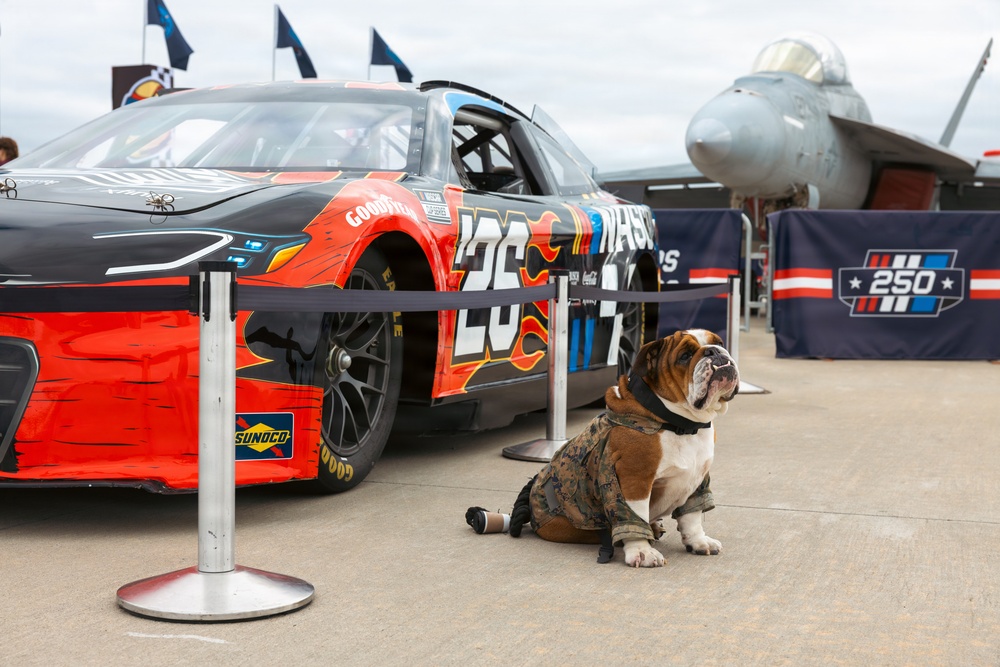 NASCAR Hosts Race on Naval Base Coronado