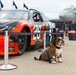 NASCAR Hosts Race on Naval Base Coronado