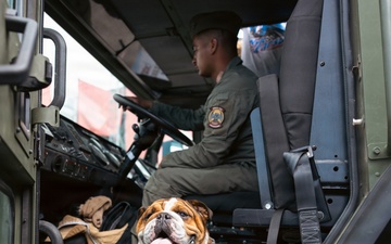 NASCAR Hosts Race on Naval Base Coronado