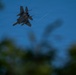 F-15 Eagle fly by