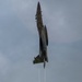 F-15 Eagle fly by
