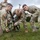 1-112th Infantry conducts light infantry, mortar training.