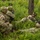 1-112th Infantry conducts light infantry, mortar training.