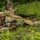1-112th Infantry conducts light infantry, mortar training