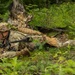 1-112th Infantry conducts light infantry, mortar training