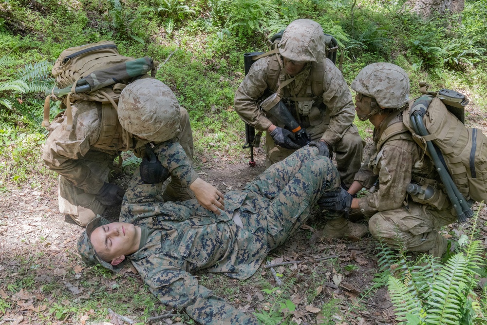 Lima Company Conduct Forge