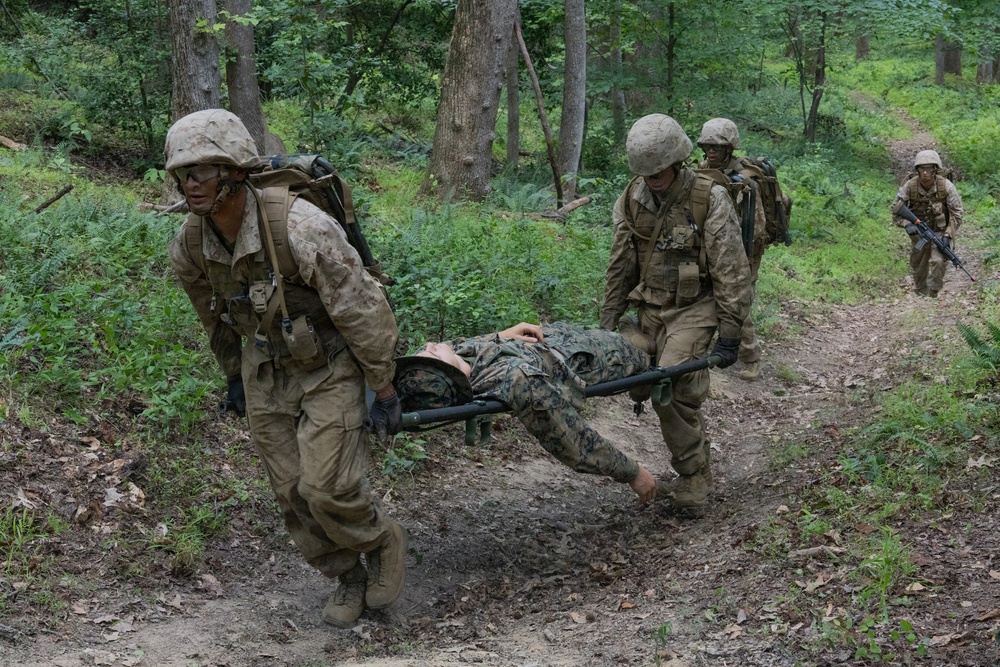 Lima Company Conduct Forge