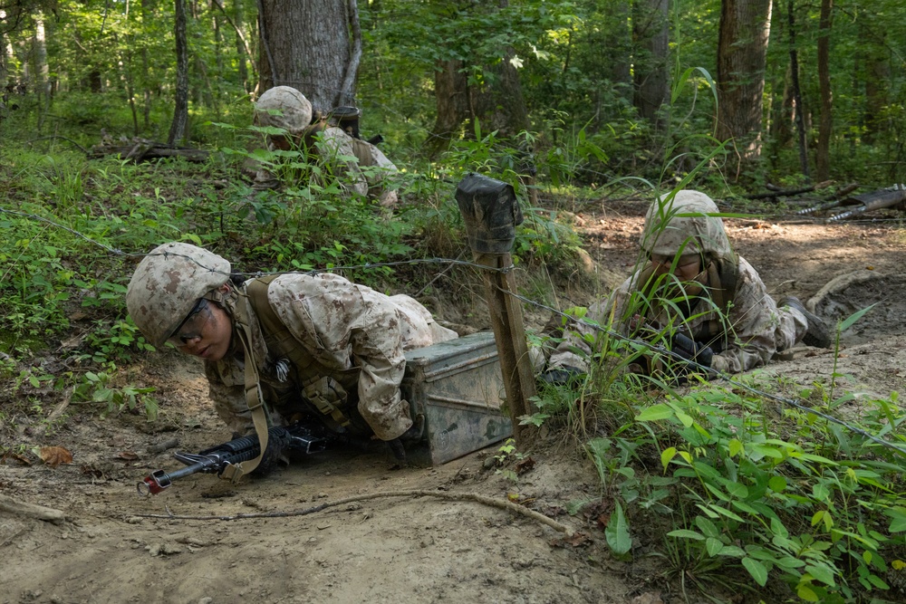 Lima Company Conduct Forge
