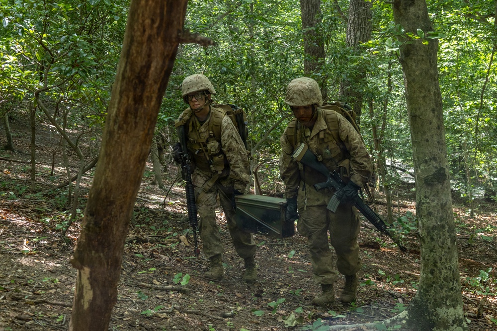 Lima Company Conduct Forge