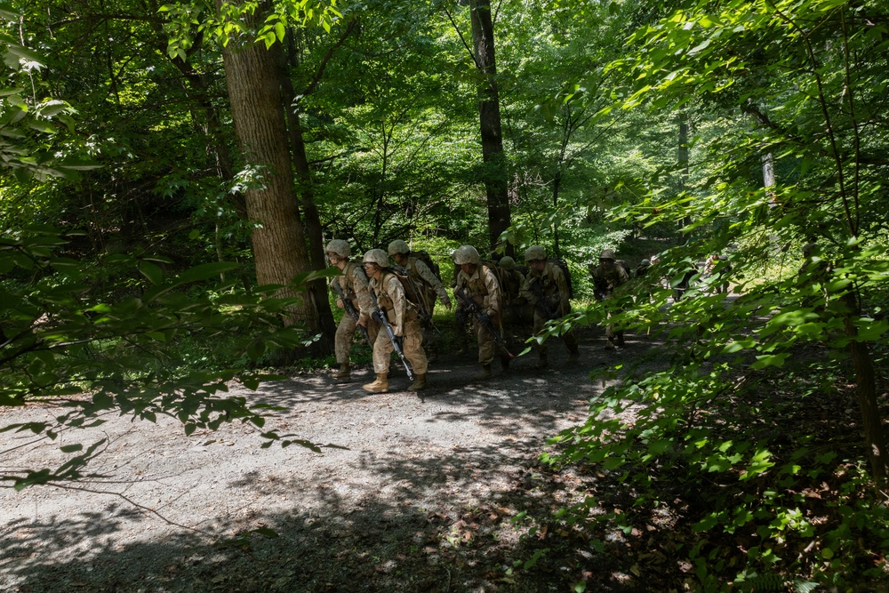 Lima Company Conduct Forge