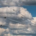 U.S. Air Force Thunderbirds at the Columbus Air Show